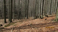 IMG_8308.jpg, 28kB